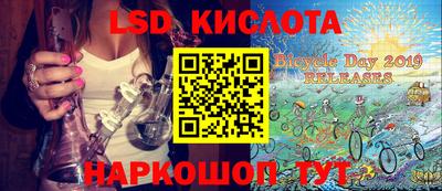 шишки Будённовск