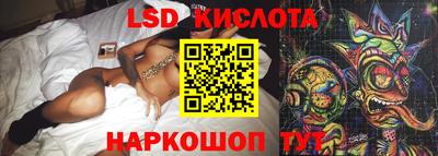шишки Будённовск