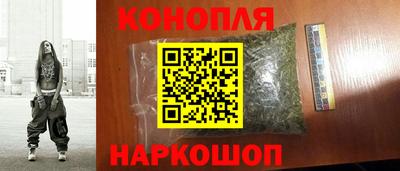 шишки Будённовск