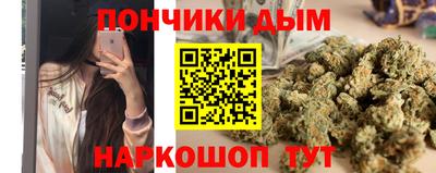 шишки Будённовск